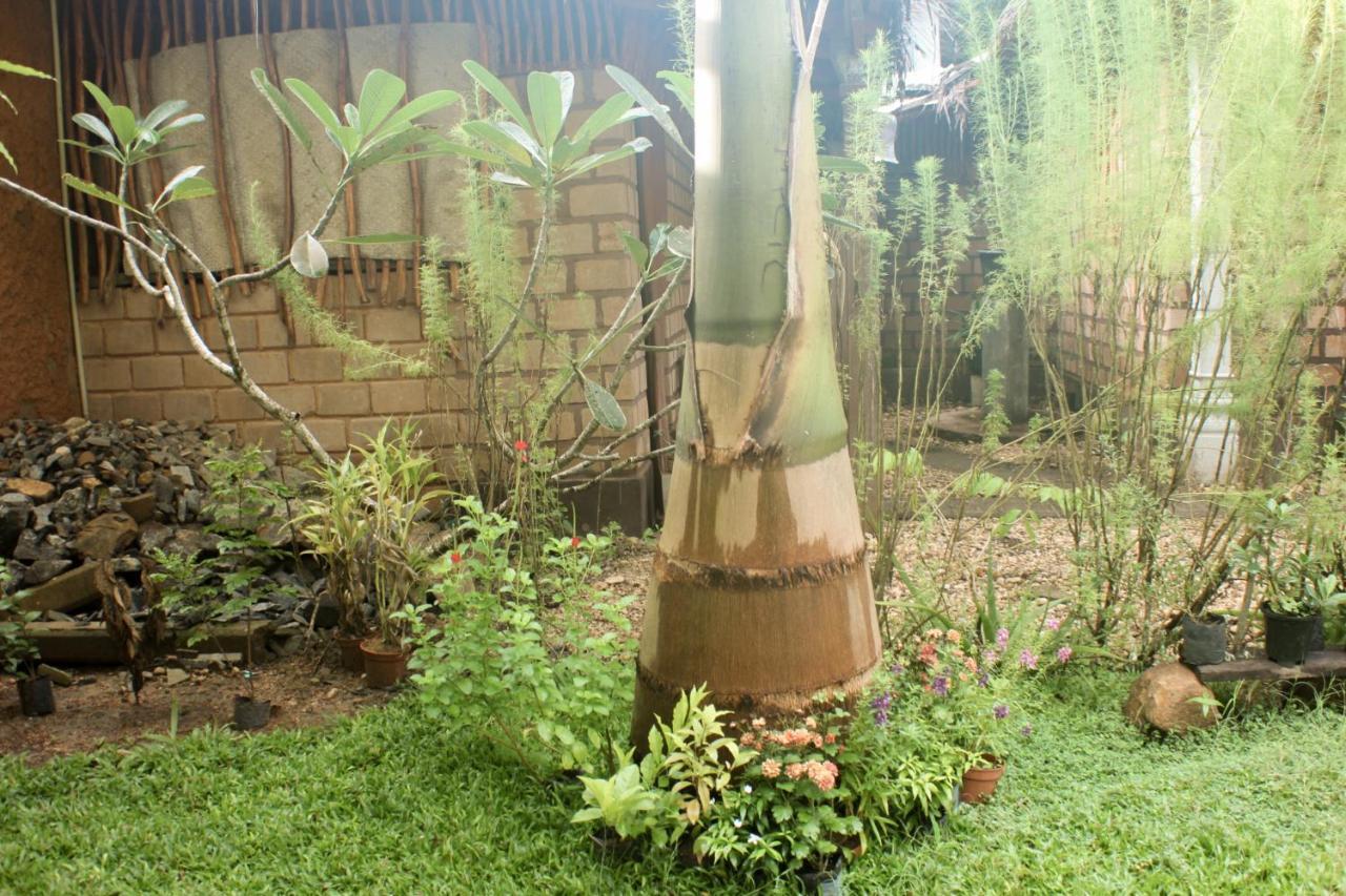 The Mango Leaf Hotel มาตารา ภายนอก รูปภาพ
